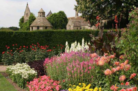 Миксбордер вдоль живой изгороди Миксбордер вдоль живой изгороди
