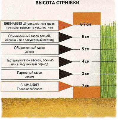 Правильная стрижка газона Правильная стрижка газона