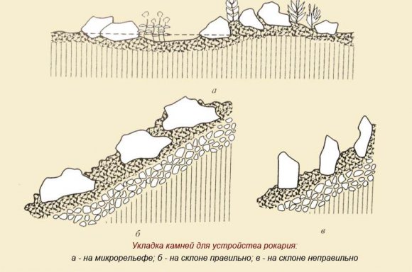 Укладка камней рокария Укладка камней рокария