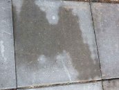 Впитывание воды тротуарной плиткой Впитывание воды тротуарной плиткой