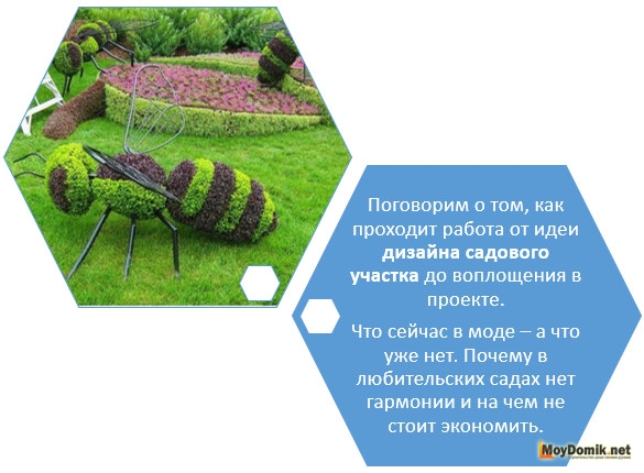 Ландшафтный дизайн садового участка своими руками Ландшафтный дизайн садового участка своими руками