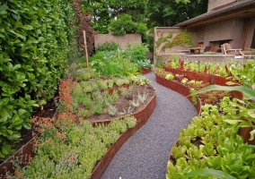 Ландшафтный дизайн огорода с клумбами из овощей и трав Ландшафтный дизайн огорода с клумбами из овощей и трав