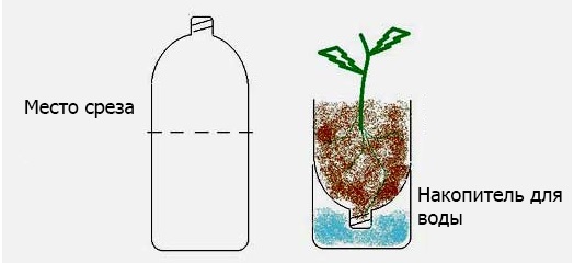 Как сделать вертикальную грядку из пластиковых бутылок своими руками Как сделать вертикальную грядку из пластиковых бутылок своими руками