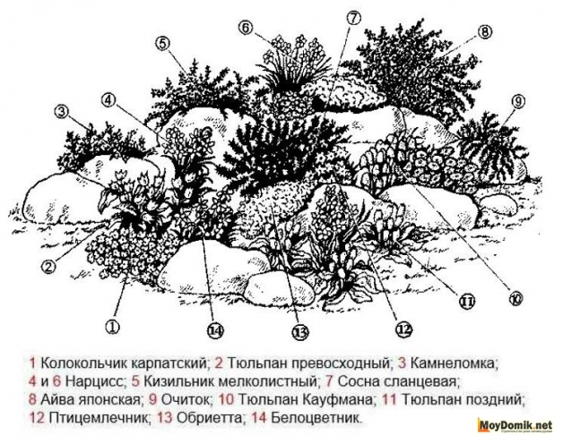 Альпийская горка - схема 2 Альпийская горка - схема 2